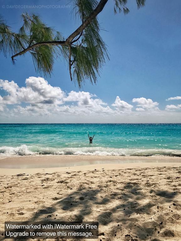 230 GG Rockley Barbados Lägenhet Bridgetown Exteriör bild